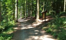 Wanderweg im Bereich des Meisenhofs - ©Julia Marmulla