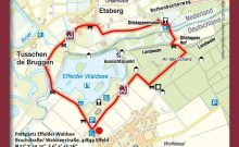 Naturpark Schwalm-Nette · Effelder Waldsee-Pfad - ©Naturpark Schwalm-Nette Naturpark Schwalm-Nette · Effelder Waldsee-Pfad - ©Naturpark Schwalm-Nette