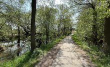 Waldverein Regensburg e.V. - ©Eva-Maria Jörka