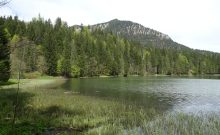 Wanderweg um den Spitzingsee - ©Silke Schropp