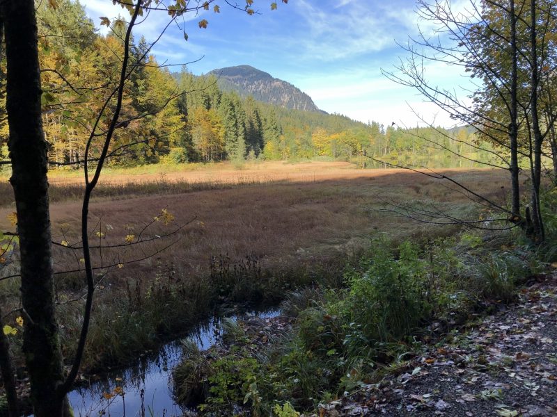 Bild von Wanderweg um den Suttensee - ©Angelika Herrmann