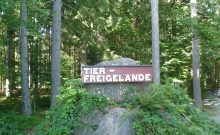Tier Freigelände und Waldstüberl Lusen - ©Martine Ernst Tier Freigelände und Waldstüberl Lusen - ©Martine Ernst