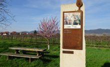 Biblischer Weinpfad zu Kirrweiler