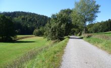 Wanderweg entlang der Ilz - ©Martine Ernst Wanderweg entlang der Ilz - ©Martine Ernst