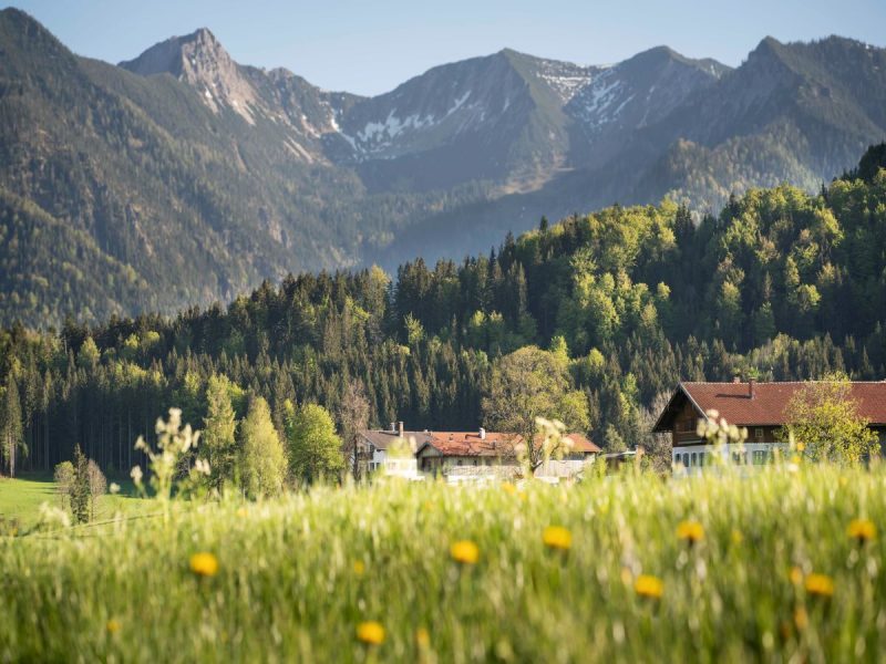 Bild von Urlaubsinspiration "Fischbachau" - ©Dietmar Denger 