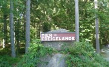 Tier Freigelände und Waldstüberl Lusen - ©Martine Ernst