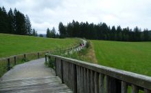 Tier-Freigelände mit Steinzeithöhle im Nationalparkzentrum Falkenstein - ©Martine Ernst