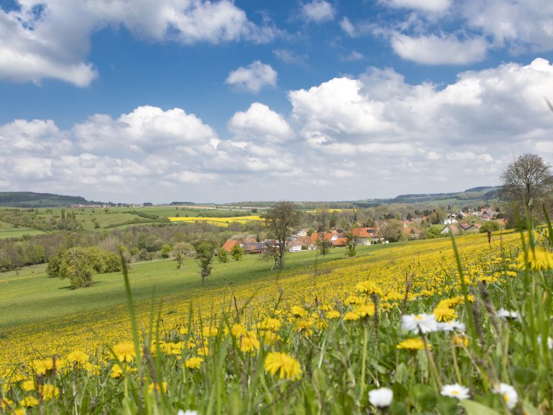 Bild von Natur & Kultur in der Biosphäre Bliesgau - ©EIKE DUBOIS