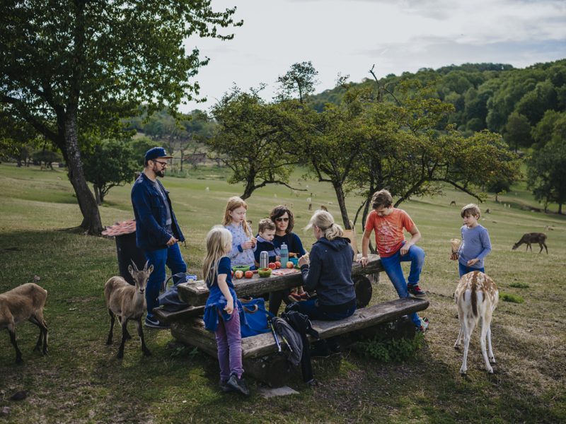 Bild von Familiensafari im Saarland - ©Marcus Simaitis