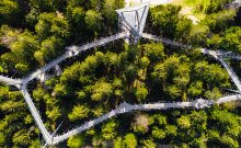 Skywalk Naturerlebnispark Allgäu - ©skywalk allgäu gemeinnützigen GmbH