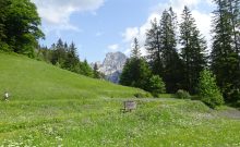 Wanderweg Lehrpfad Hirschbichl - ©Silke Schropp