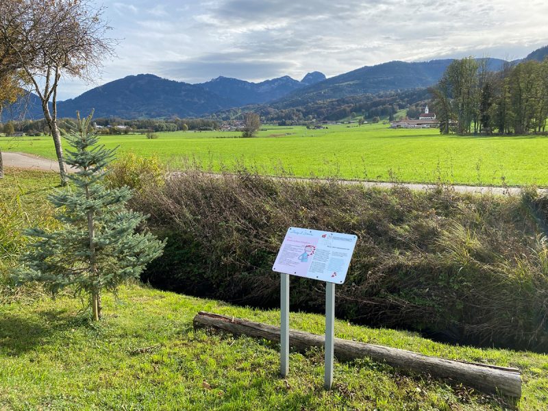 Bild von Rundweg Body2Brain - ©Raphael Wagner