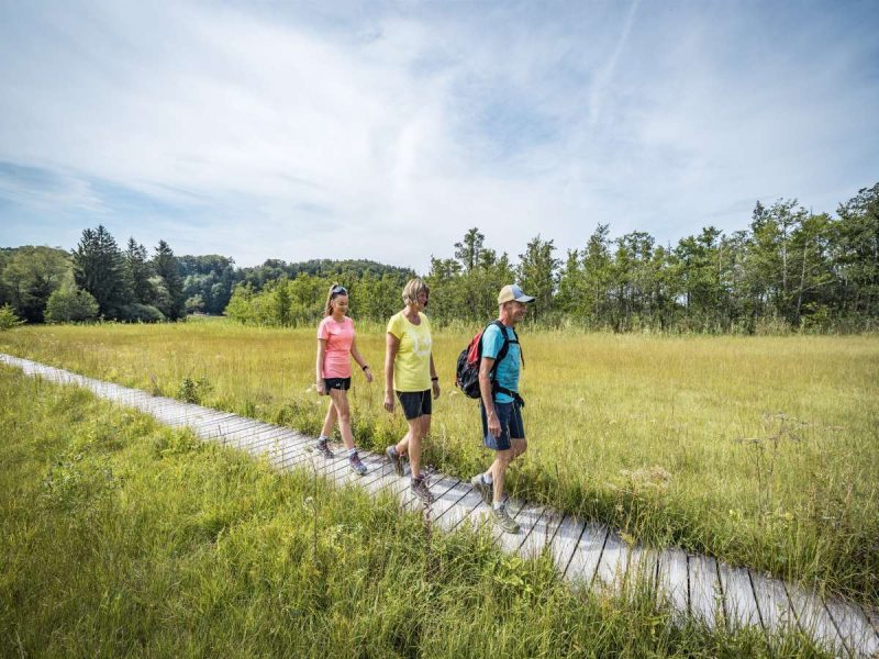 Bild von Urlaubsinspiration "See und Moor" - ©© Chiemsee-Alpenland Tourismus