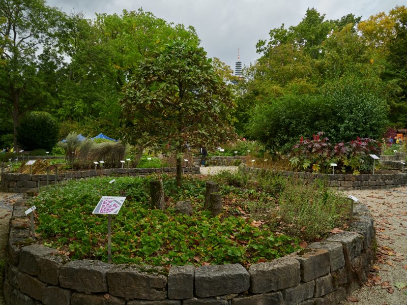 Bild von Urlaubsinspiration "Frankfurt.entspannend" - ©Tom Wolf