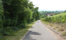 PA-1002-2016-Wein-Wander-Weg "Abt-Degen-Steig"