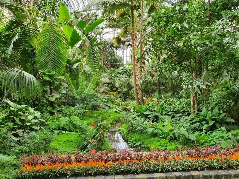 Bild von Palmengarten Frankfurt  - ©Gisela Moser