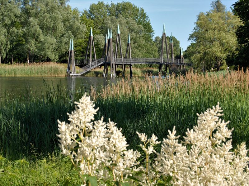 Reisen für Alle Britzer Garten