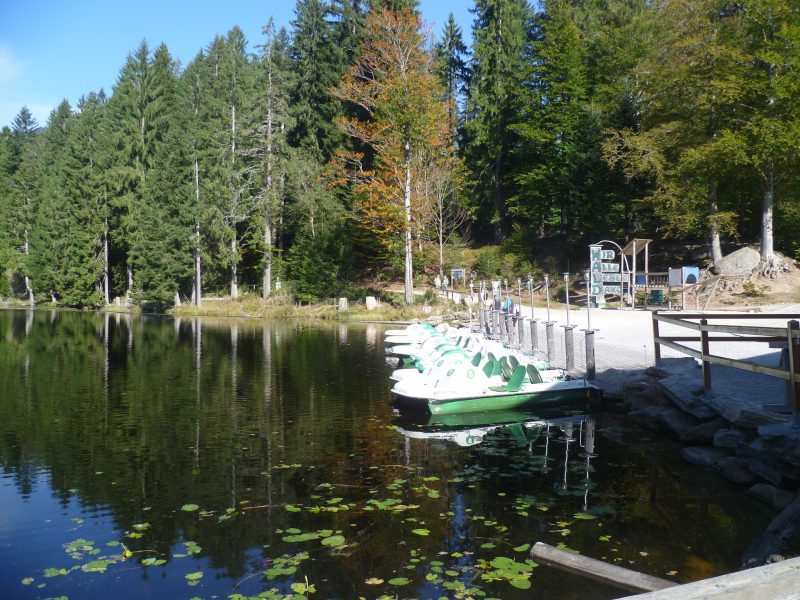 Rundwanderweg um den Großen Arbersee - ©Martine Ernst Rundwanderweg um den Großen Arbersee - ©Martine Ernst