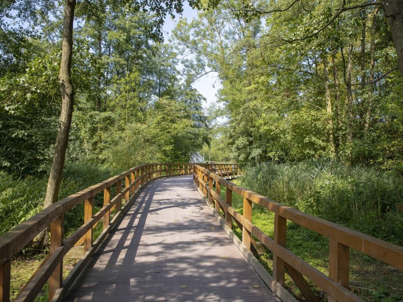 Zwischenahner Meerweg - ©Martin Stöver Zwischenahner Meerweg - ©Martin Stöver