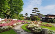 Japanischer Garten - ©KTL Kur und Tourismus Bad Langensalza GmbH Japanischer Garten - ©KTL Kur und Tourismus Bad Langensalza GmbH