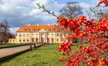 Schloss und Schlosspark Mosigkau im Gartenreich Dessau-Wörlitz - ©Photographer: P. Dafinger Schloss und Schlosspark Mosigkau im Gartenreich Dessau-Wörlitz - ©Photographer: P. Dafinger