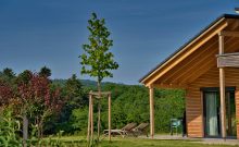 Traumweiler Ferienhäuser (Haus 19)  - ©Michaela Herrmann