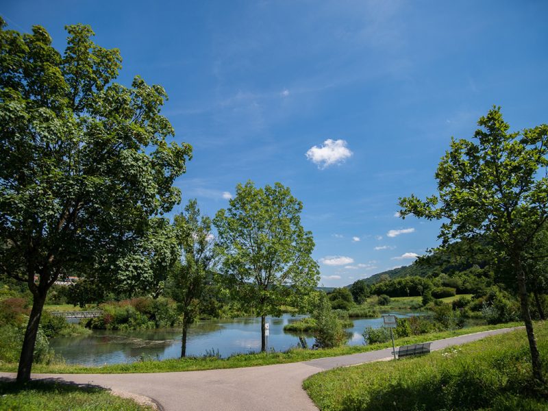 Rundweg um den Stadtweiher Riedenburg - ©Stadt Riedenburg Bild von Rundweg um den Stadtweiher Riedenburg - ©Stadt Riedenburg