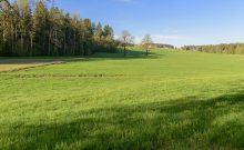 Gschwendweiher - ©Thomas Gretler