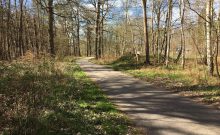 Thalasso Kurweg 5 (Handbike geeignet) - ©TZRW Thalasso Kurweg 5 (Handbike geeignet) - ©TZRW