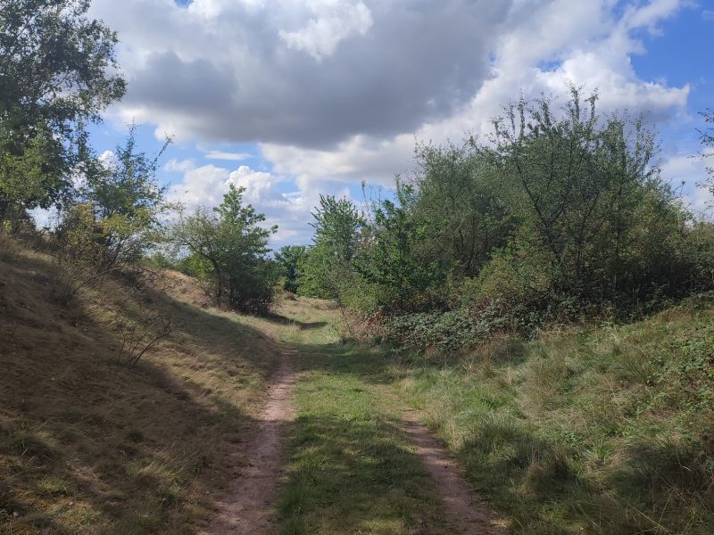 Bild von Naturlehrpfad "Porphyrlandschaft Wettin/Gimritz"  - ©Ramona Wolf