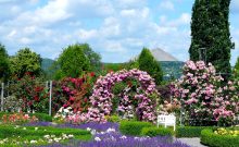 Urlaubsinspiration "Gartenträume in Sachsen-Anhalt" - ©Felicitas Remmert