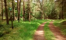 Naturparkwanderweg Nr. 46 für Rollstuhlzuggerät - ©Naturpark Südeifel