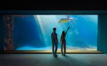 Deutsches Meeresmuseum, Standort MEERESMUSEUM