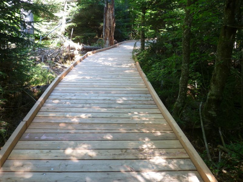 Bohlenweg Großer Filz - ©Martine Ernst Bohlenweg Großer Filz - ©Martine Ernst