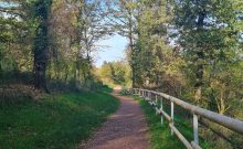 Spazierweg Warsberg - ©Anna-Lena Koster