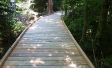 Bohlenweg Großer Filz - ©Martine Ernst