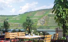 Hotel Lindenhof  - ©Hotel Lindenhof 