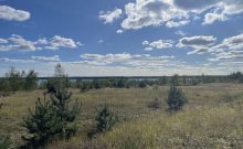 Rundweg um den Bärwalder See  - ©Joke Pouliart