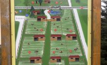 Straußenfarm Burkhardt - ©Benjamin Suthe