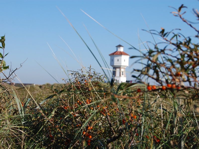 Tourismusregion Ostfriesland