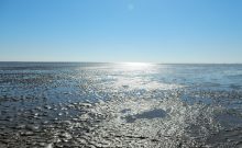 Urlaubsinspiration "Maritim-historisches Erlebnis am Weltnaturerbe Wattenmeer" Urlaubsinspiration "Maritim-historisches Erlebnis am Weltnaturerbe Wattenmeer"