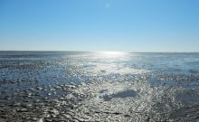 Urlaubsinspiration "Maritim-historisches Erlebnis am Weltnaturerbe Wattenmeer"