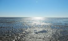 Urlaubsinspiration "Maritim-historisches Erlebnis am Weltnaturerbe Wattenmeer" Urlaubsinspiration "Maritim-historisches Erlebnis am Weltnaturerbe Wattenmeer"