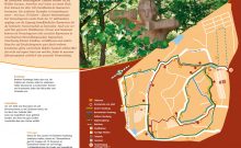 Forstlicher Versuchsgarten Grafrath - Übersichtsplan - ©Bayerische Forstverwaltung Forstlicher Versuchsgarten Grafrath - Übersichtsplan - ©Bayerische Forstverwaltung