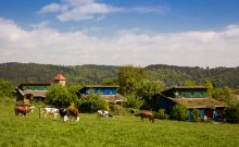 Ferienhaus Schöneweis Ferienhaus Schöneweis
