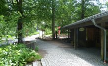 Waldwirtschaft Lusen - ©Martine Ernst Waldwirtschaft Lusen - ©Martine Ernst