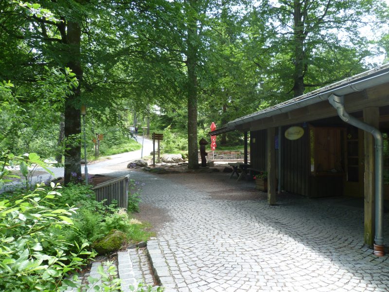 Waldwirtschaft Lusen