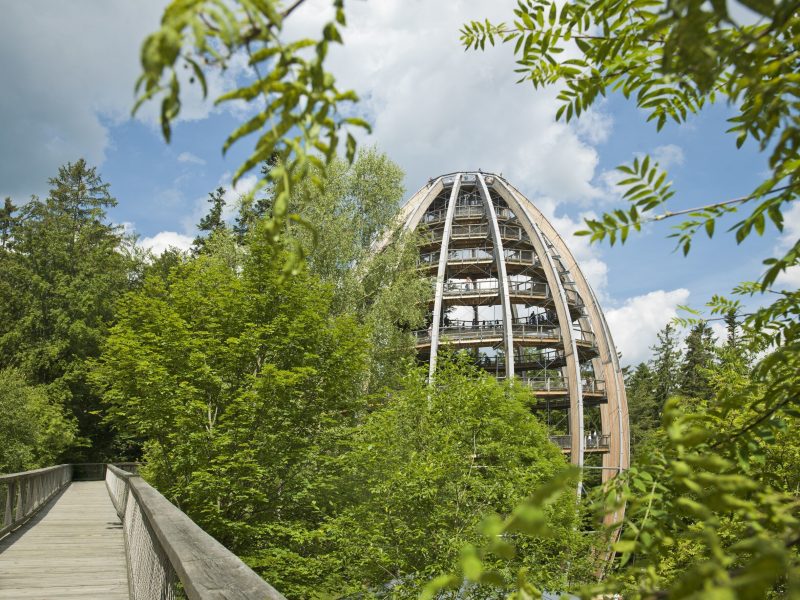 Baumwipfelpfad Bayerischer Wald im Nationalparkzentrum Lusen