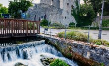 Urlaubsinspiration "Blumenpracht und Waldidyll in Bad Lippsrpinge" - ©Besim Mazhiqi Urlaubsinspiration "Blumenpracht und Waldidyll in Bad Lippsrpinge" - ©Besim Mazhiqi