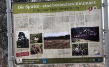 Seerundweg Soier See mit Barfußpfad, Moorlehrpfad, Vogellehrpfad - ©Angelika Herrmann Seerundweg Soier See mit Barfußpfad, Moorlehrpfad, Vogellehrpfad - ©Angelika Herrmann